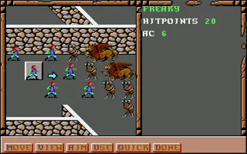 Treasures of the Savage Frontier_DiskD screen shot game playing